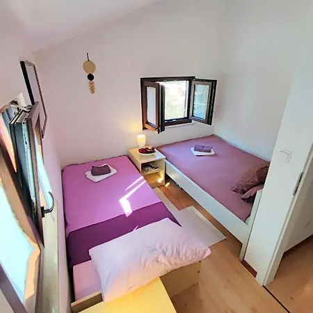 Apartment Pajtak *